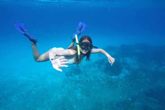 Shared Sky Snorkeling in Cozumel - Colombia Reef brings a second look at Cozumel’s underwater world