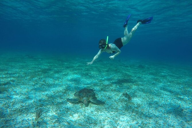 Shared Sky Snorkeling in Cozumel - Ceviche, guacamole, fruit, and drinks