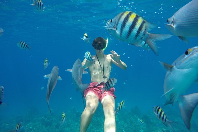 Shared Sky Snorkeling in Cozumel - Practical details before you reserve