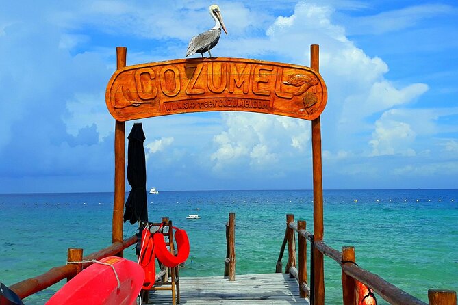 SkyReef Cozumel Snorkel & Tequila Tasting - Transportation needs a little attention