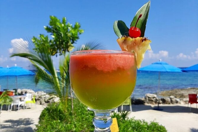 SkyReef Cozumel Snorkel & Tequila Tasting - Who will get the most from this Cozumel outing