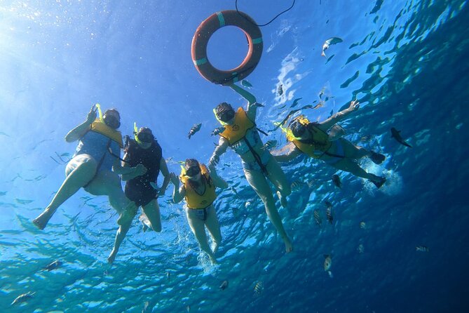 Snorkel along the coast, explore two reefs by Chivis del Mar - Two reefs, one small boat, and a calmer pace