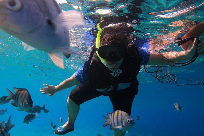 Snorkel along the coast, explore two reefs by Chivis del Mar - What is included for $35.85