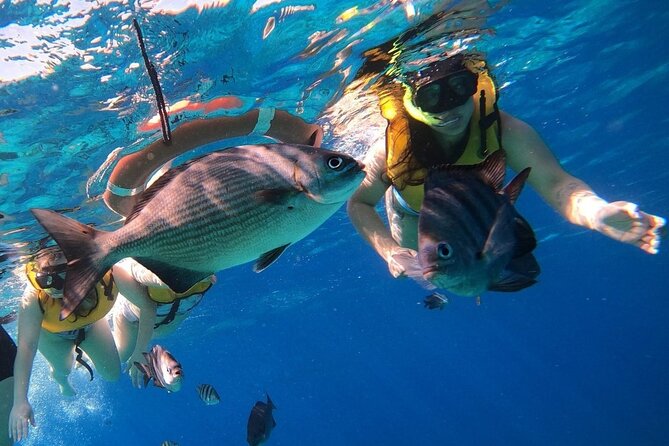 Snorkel along the coast, explore two reefs by Chivis del Mar - What to pack, and what not to bring