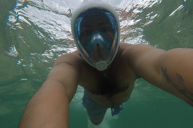 Snorkeling and Beach Club Access in Cozumel with Lunch - Meeting at PalMar and getting settled