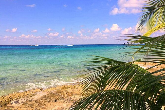 Snorkeling and Beach Club Access in Cozumel with Lunch - Timing matters for cruise ship passengers