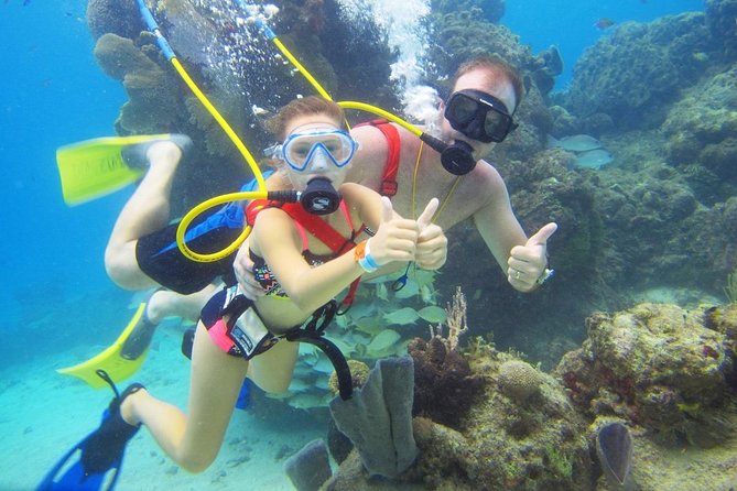 SNUBA Cozumel Underwater Adventure inside Chankanaab National Park - Meeting your guide inside Chankanaab Park