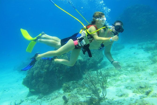 SNUBA Cozumel Underwater Adventure inside Chankanaab National Park - How the $65 price compares with the real cost