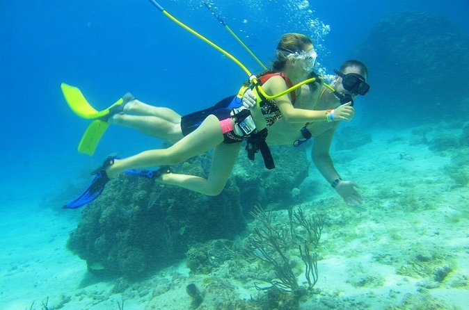 SNUBA Cozumel Underwater Adventure inside Chankanaab National Park - Timing, weather, and the risk of a wasted afternoon