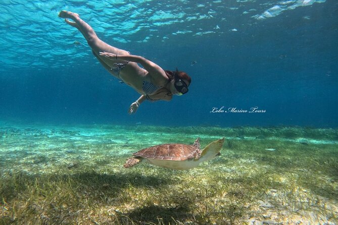 Star and Turtle Sanctuary Snorkeling Tour in Cozumel - The starfish sanctuary is the route’s visual highlight