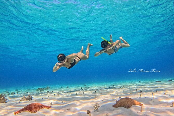 Star and Turtle Sanctuary Snorkeling Tour in Cozumel - Crew service can shape the day