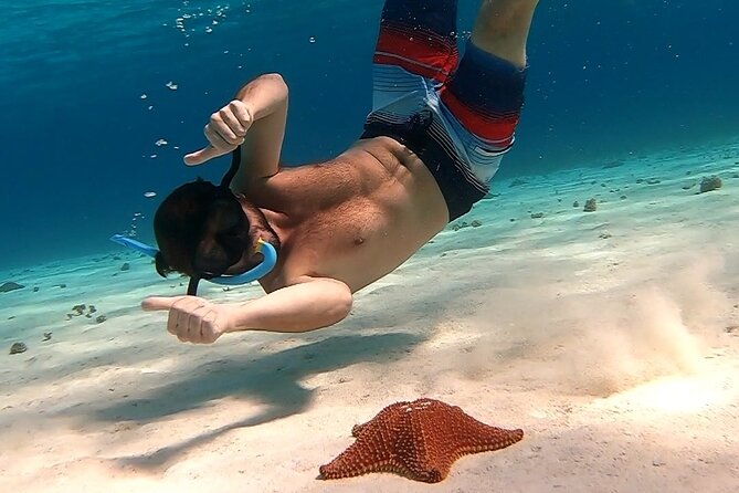 Starfish, Stingrays and the Turtle Sanctuary Snorkel Tour - El Cielo, where the day begins in shallow water