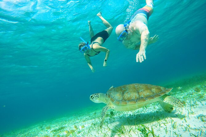 Starfish, Stingrays and the Turtle Sanctuary Snorkel Tour - Small boat advantages and tradeoffs