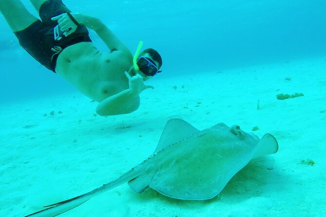 Starfish, Stingrays and the Turtle Sanctuary Snorkel Tour - Meeting at Marina Cozumel ASIPONA