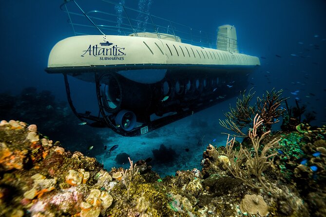Submarine Atlantis Cozumel Adventure by Day & Sunset - Is $120 plus the marine fee good value?
