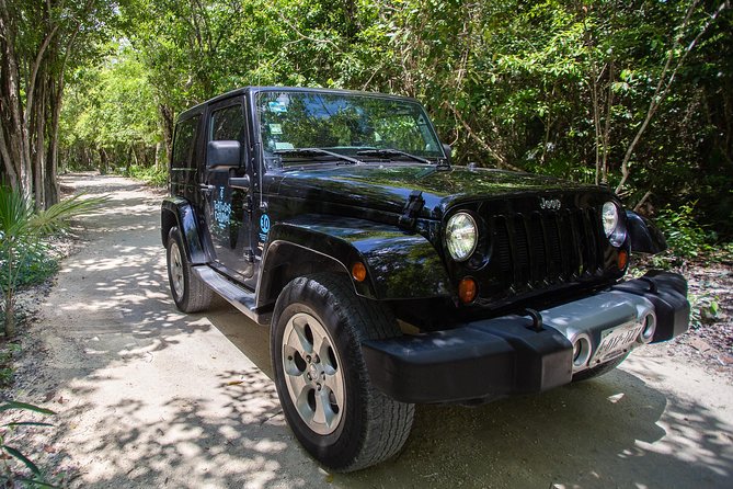 Super Cozumel Combo Snorkel by Boat and Jeep Exploration (Private) - Tortugas Beach Club and the short snorkel boat