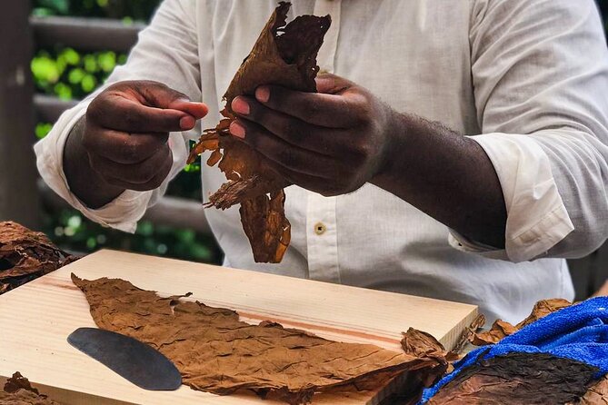 Taste of Mexico: Rolling Cigar & Tequila Experience with transfer - Downtown Cozumel and the shopping question