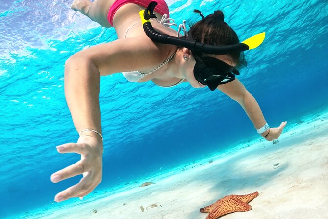 The Cozumel Turtle Sanctuary Snorkel Tour - What the Cozumel Turtle Sanctuary tour really is