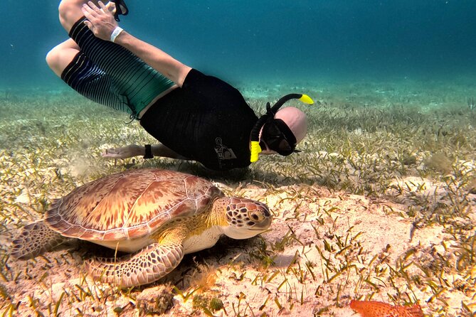 The Cozumel Turtle Sanctuary Snorkel Tour - The first reef stop, fish, and possible sharks