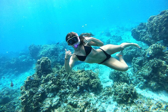The Cozumel Turtle Sanctuary Snorkel Tour - Cielito, fresh food, and the ride home