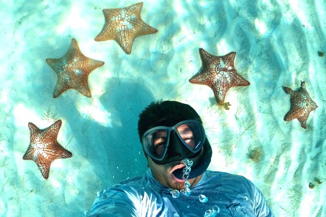 The Cozumel Turtle Sanctuary Snorkel Tour - The cruise ship timing problem