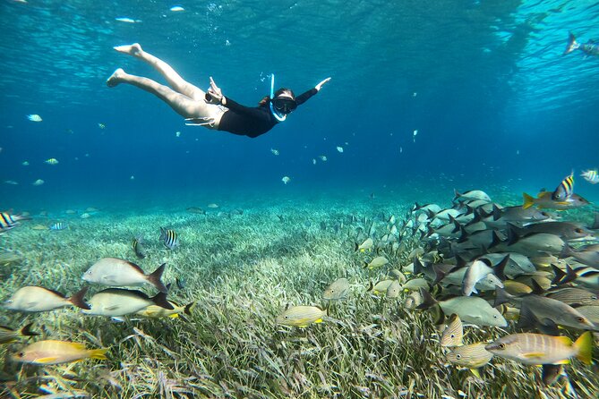 The Cozumel Turtle Sanctuary Snorkel Tour - Who will enjoy this snorkel trip