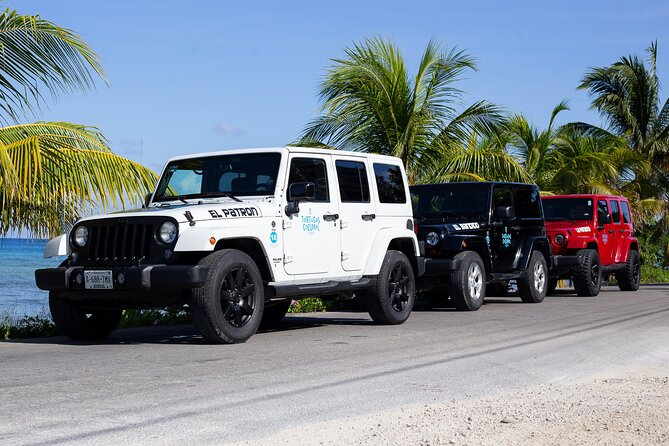 The Original Jeep Tour Revamped by Tortugas Cozumel® (Private) - Tortugas Beach Club brings lunch and snorkeling together