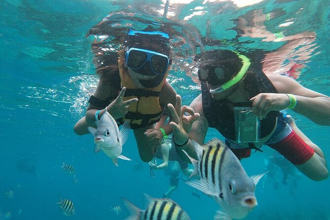 The Perfect Day in Chankanaab Park Cozumel - What your five hours can include