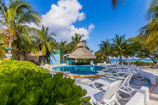 Tikinxic Barefoot Fish Guided Cookout Experience in Cozumel - Group size and the personal feel