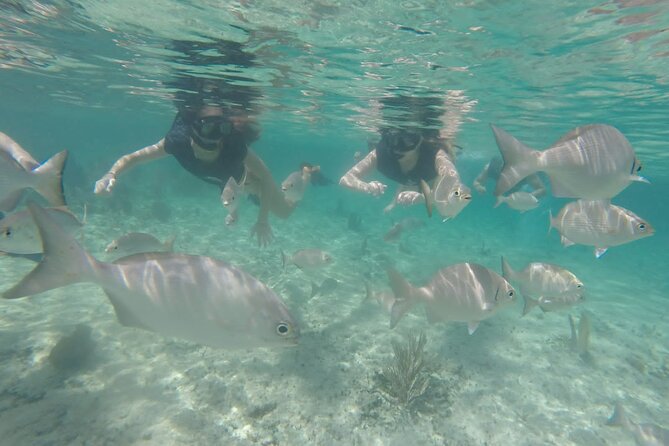 Tour in Buggy Cedral History Snorkeling and Lunch in Cozumel - Guides and the human side of the outing