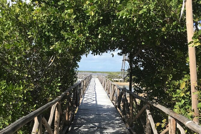 Tour to Cozumel Eco Nature Escape and Otoch Mayan Experience - A half-day route through Cozumel’s south end