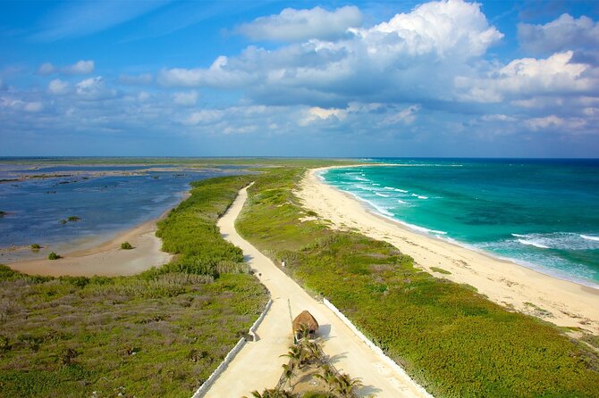 Tours along the beaches of Cozumel Mexico by buggy all inclusive - A private buggy route around Cozumel