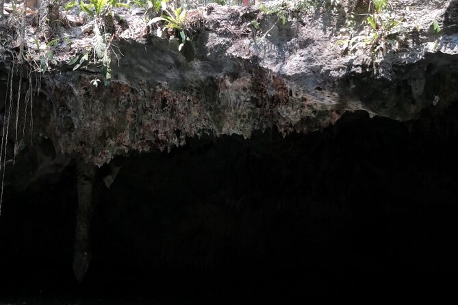 Tours On The Island Cozumel - What $95 buys you in Cozumel