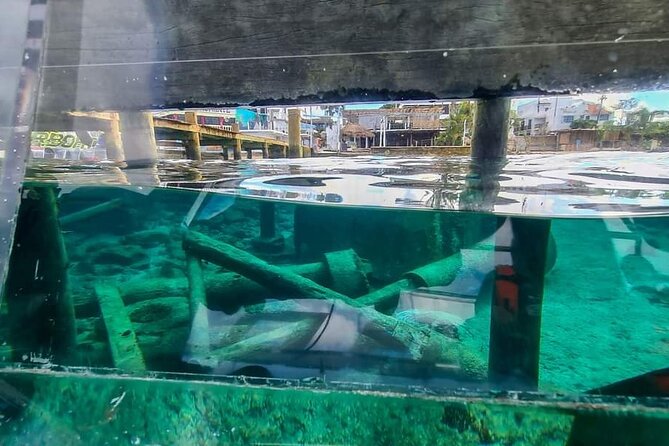 Transparent Boating and Snorkeling Tour in Cozumel All Inclusive - Who will enjoy this Cozumel outing