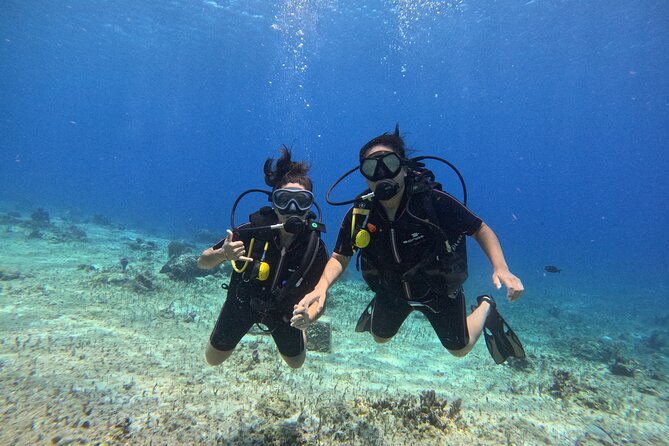 Try diving without previous experience from shore - Starting with the basics on Avenida 20