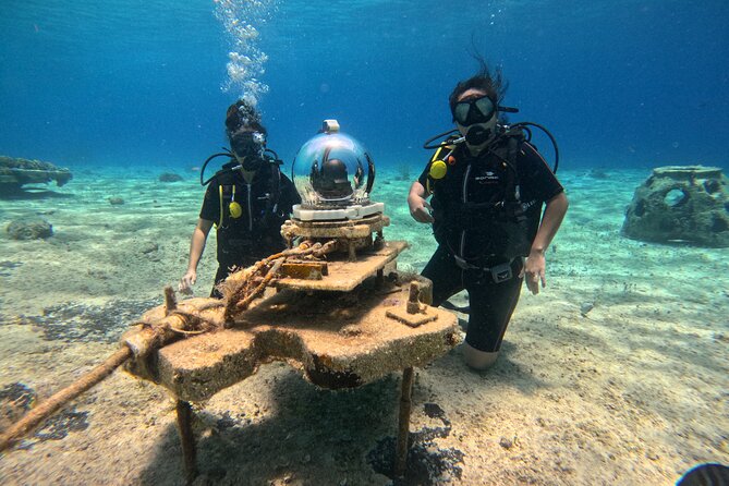 Try diving without previous experience from shore - A private format that helps nervous beginners
