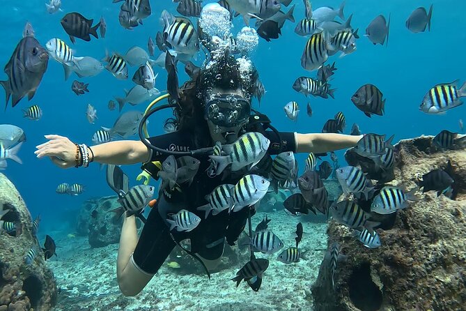 Try diving without previous experience from shore - Is $136.77 a fair price?