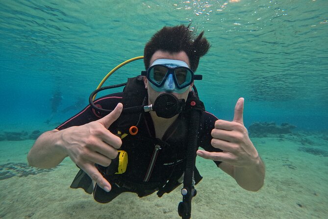 Try diving without previous experience from shore - The underwater museum and Jacques Cousteau connection
