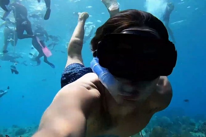 VIP Private Glass Bottom Boat and Snorkeling, 3 Reefs in Cozumel - Who will enjoy this trip most