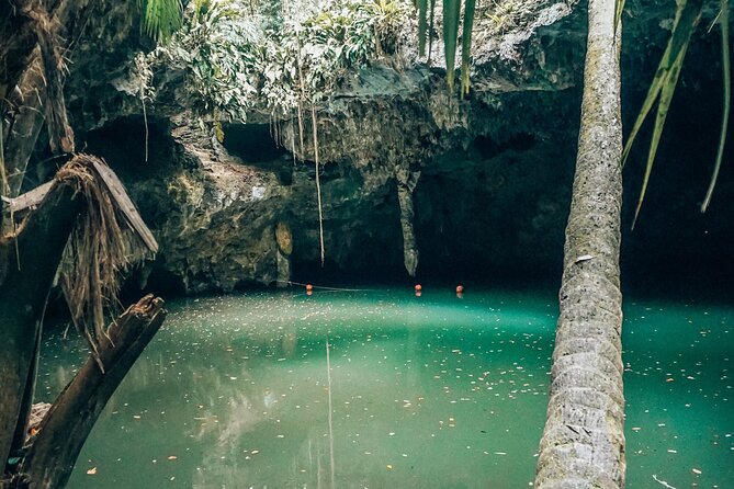Wild Jade Cavern ATV Tour With Transfer - What this Cozumel ATV tour is really like